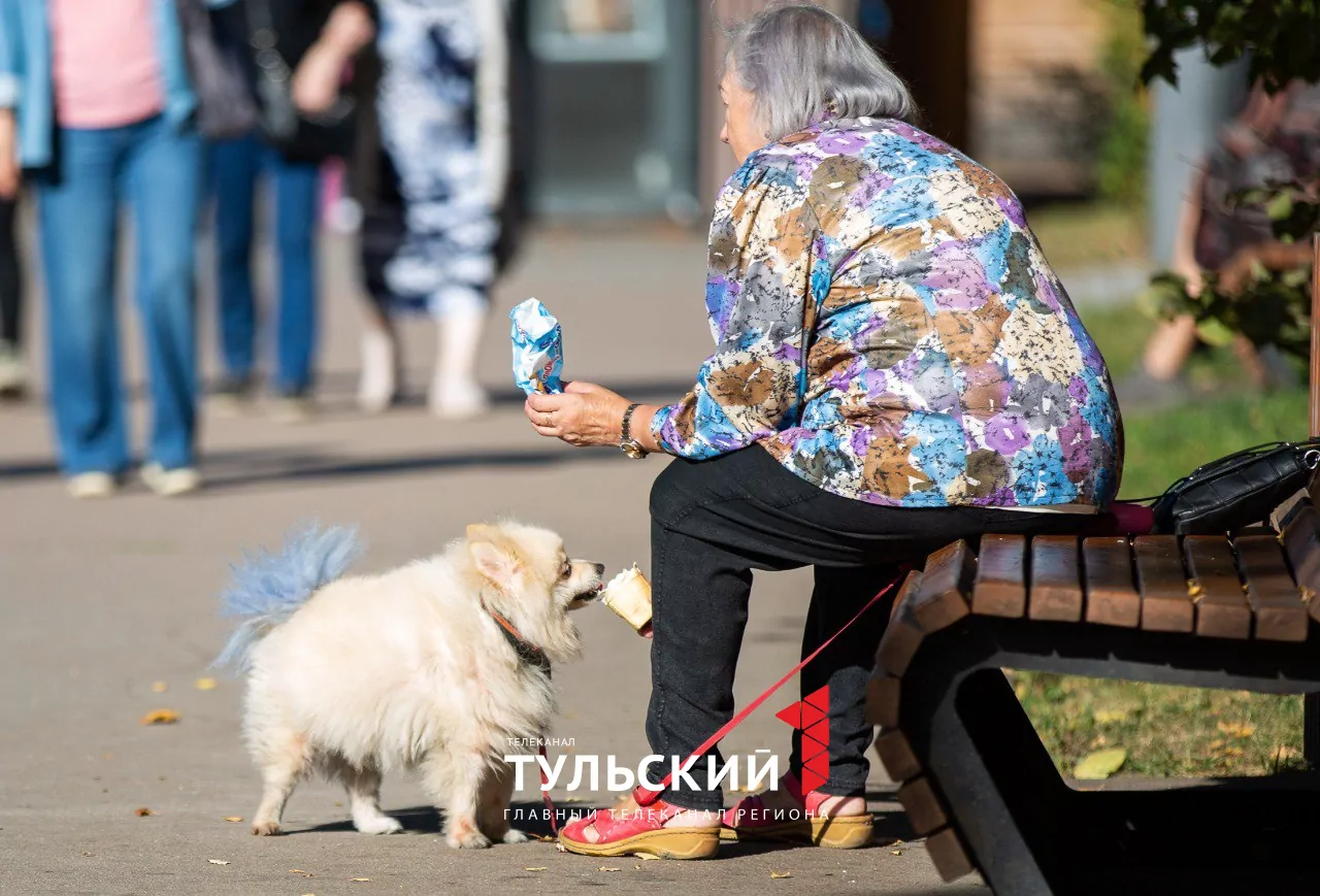 Как туляки провели последний теплый день года: фоторепортаж