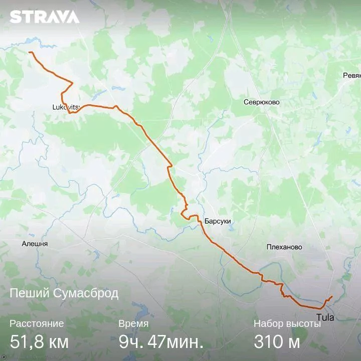 "Пеший сумасброд": туляки попытались пешком добраться до Алексина