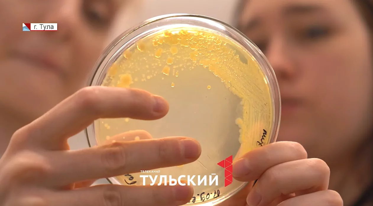 Тульские аспиранты придумали экологичный способ очистки сточных вод