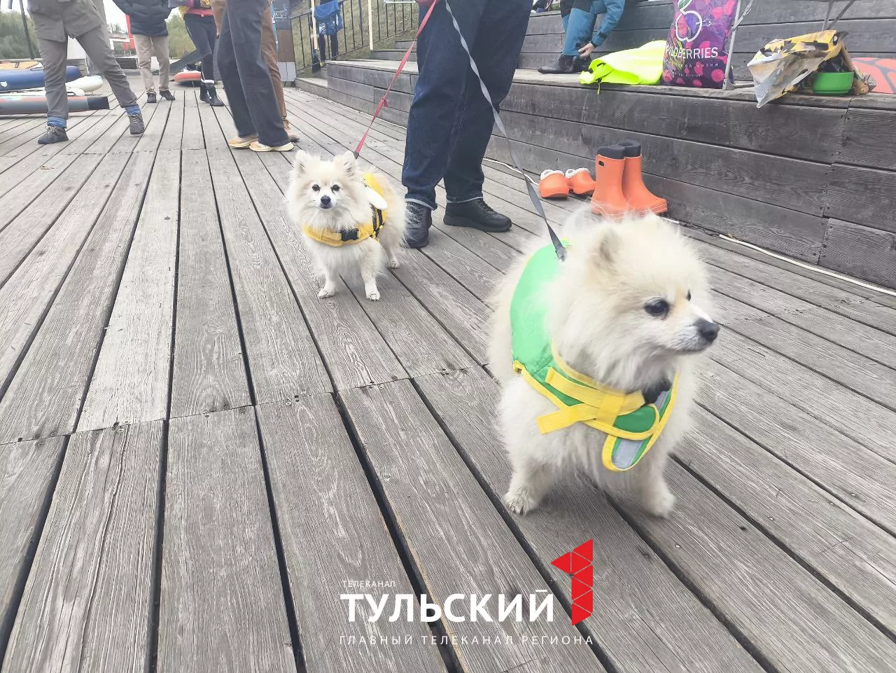 Больше 70 сап-серферов собрались на Казанской набережной в Туле
