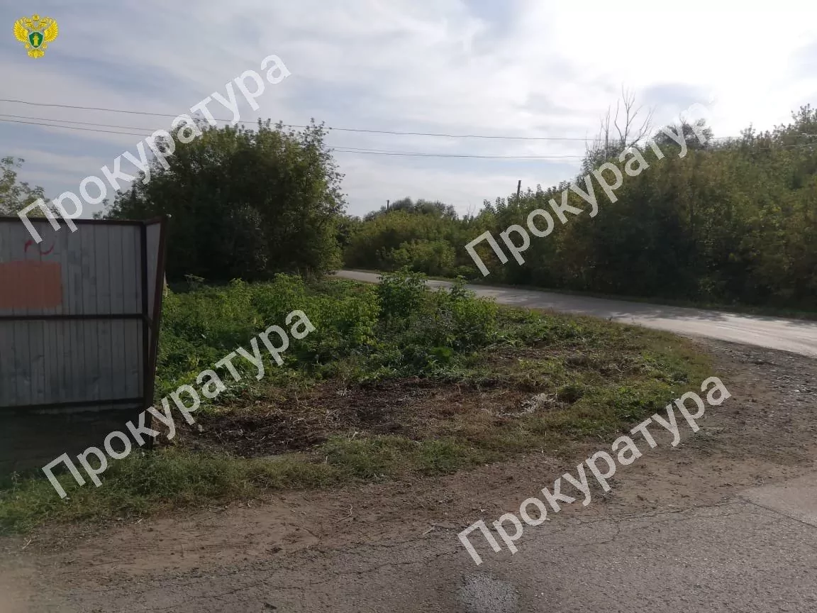 Администрацию Каменского района привлекли к ответственности за свалку в деревне
