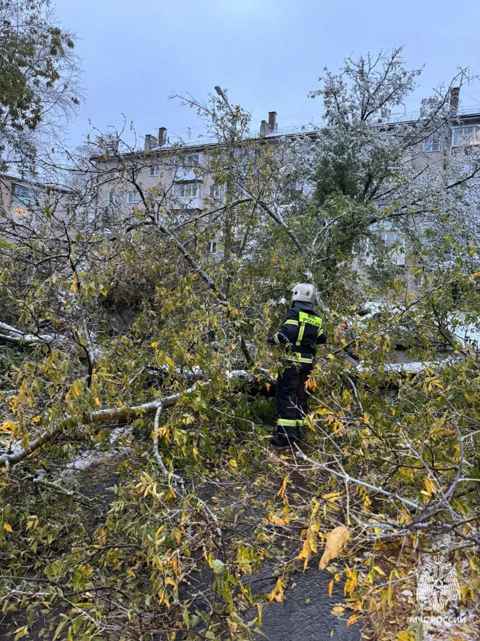 В Тульской области устраняют последствия первого снегопада и сильного ветра