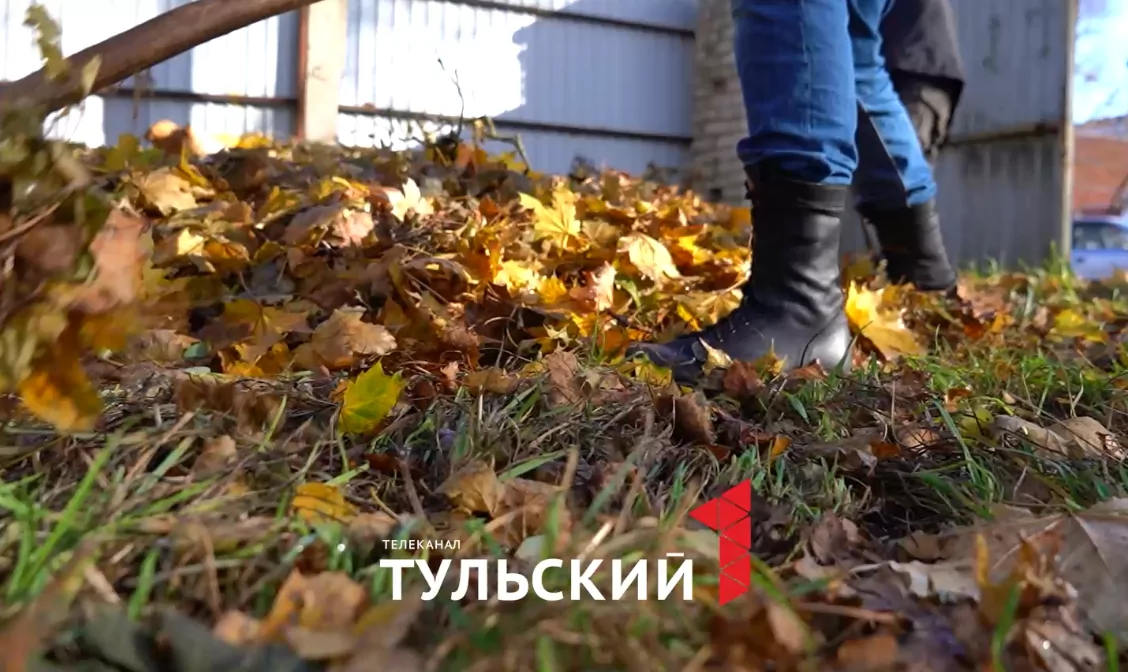 Как подросткам в Тульской области заработать 35 тысяч рублей в месяц