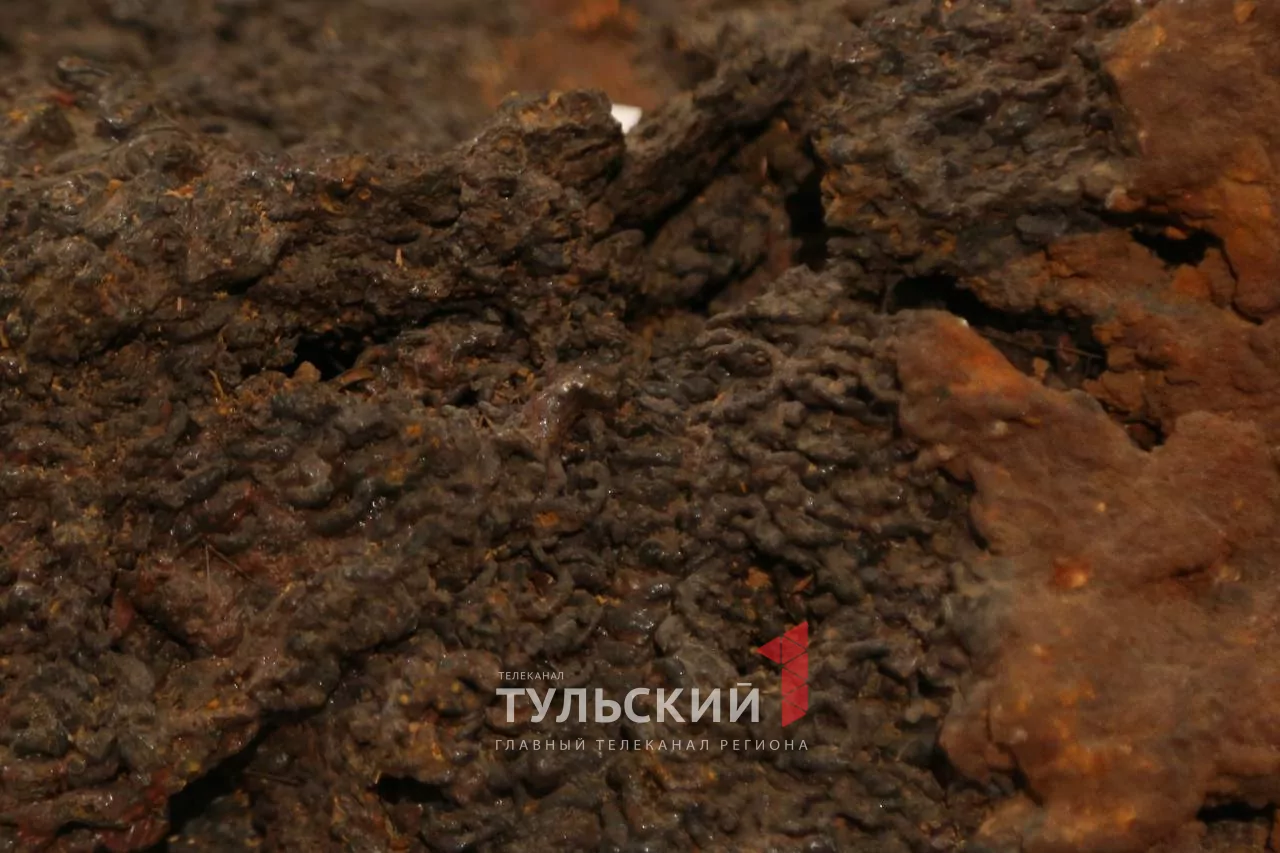 Новая выставка в тульском ГИМе развенчает главные стереотипы о викингах