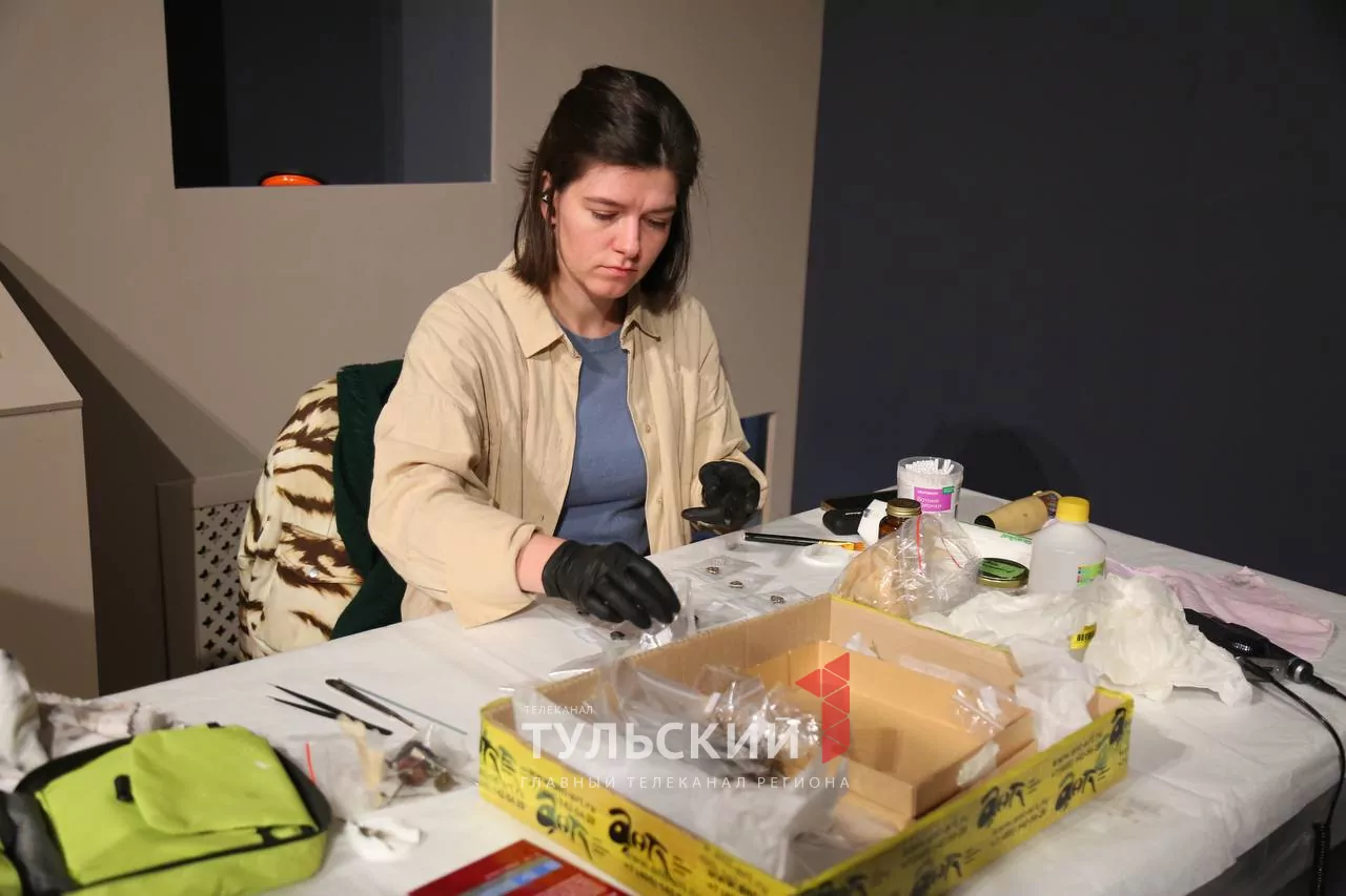 Новая выставка в тульском ГИМе развенчает главные стереотипы о викингах