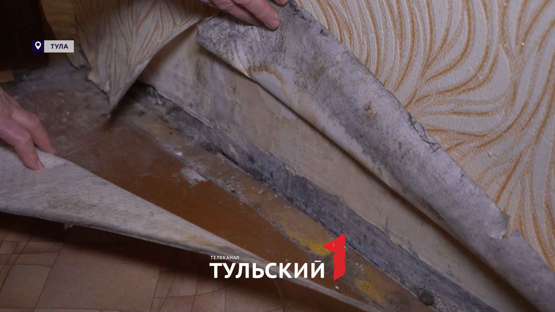 Многоэтажка в Туле покрывается плесенью