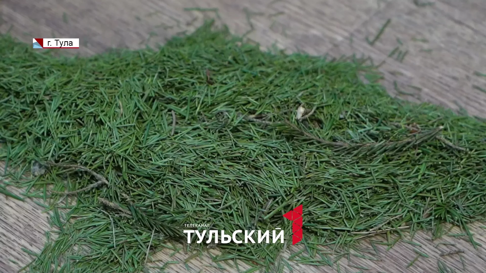 Как тулякам выкинуть ёлку и не нарваться на штраф