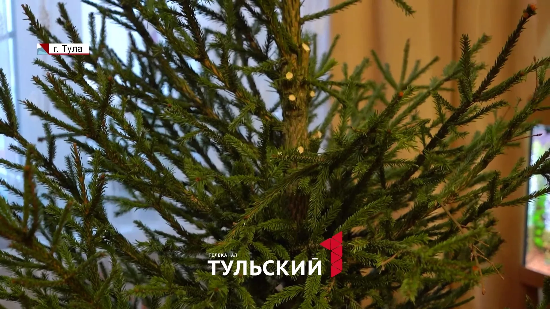 Как тулякам выкинуть ёлку и не нарваться на штраф