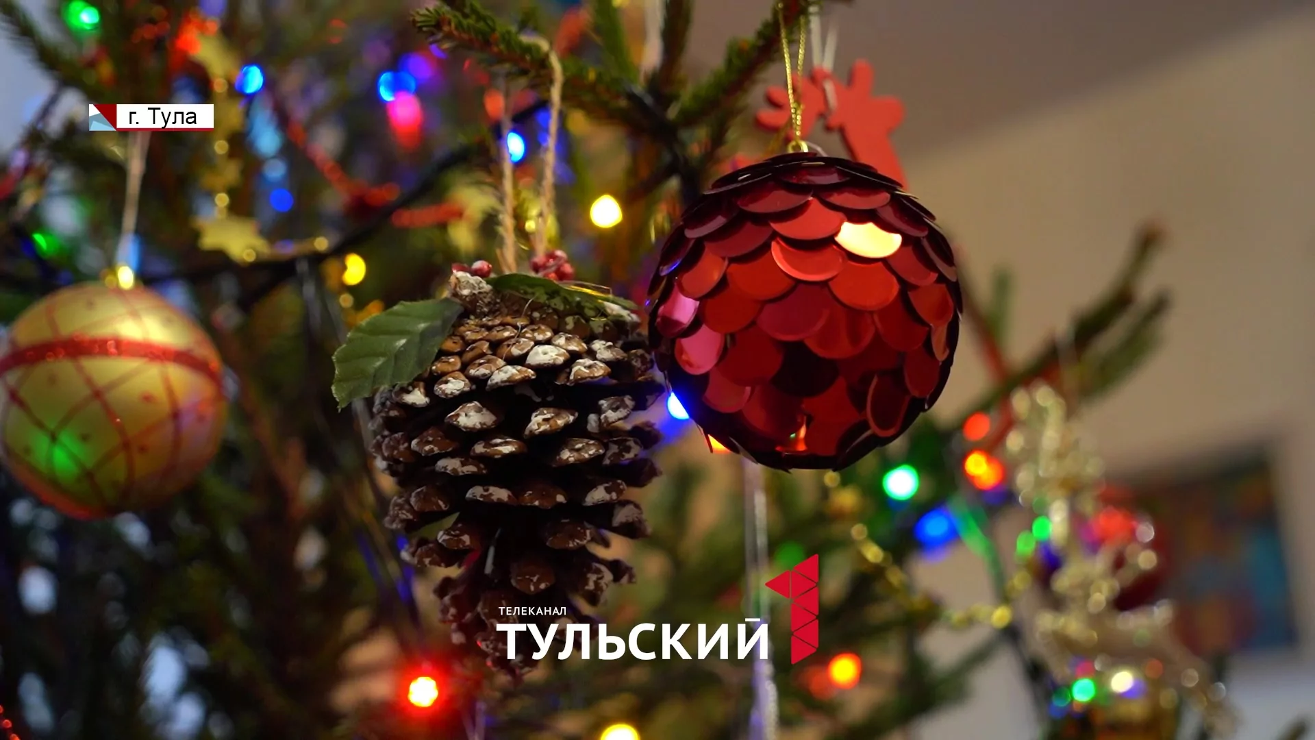 Как тулякам выкинуть ёлку и не нарваться на штраф