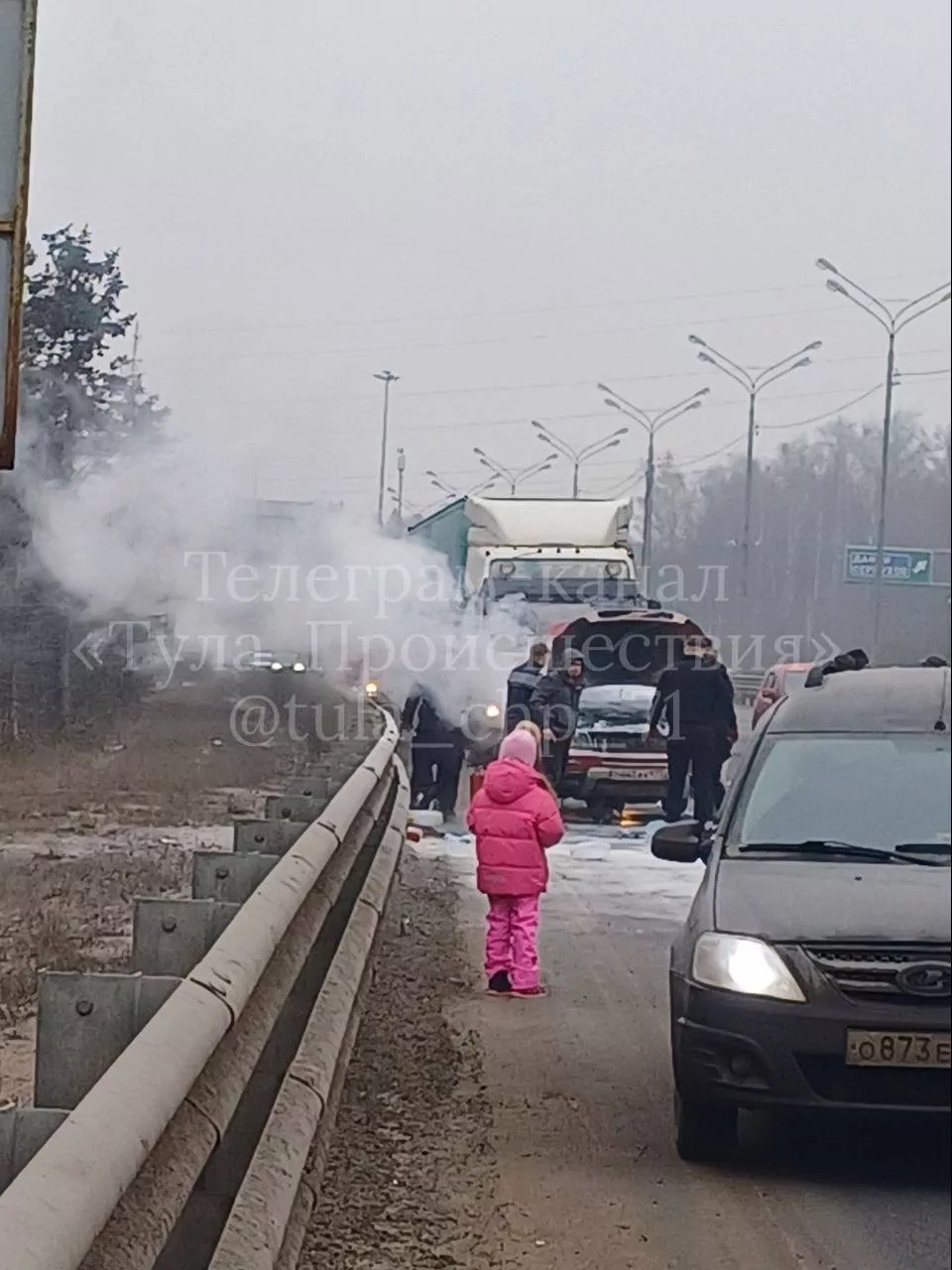 На московской трассе вспыхнула машина