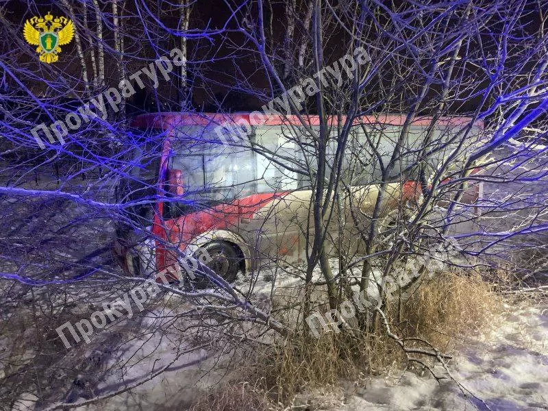 В Большой Туле пассажирский автобус вылетел с дороги и перевернулся