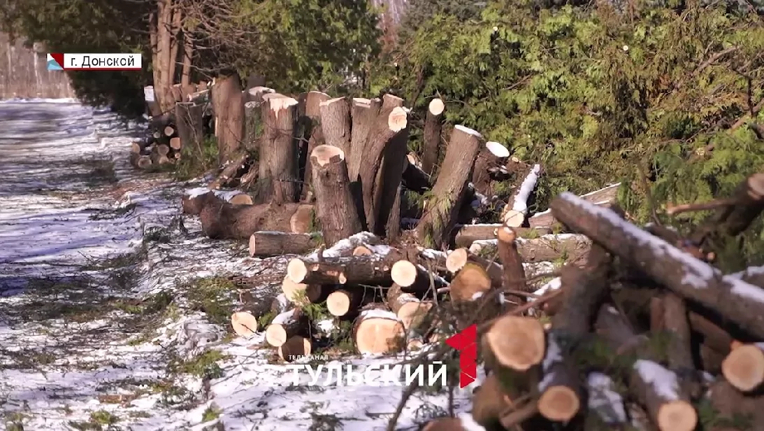 Туи на мемориале пошли под спил ради кустарника: прокуратура вмешалась в дело