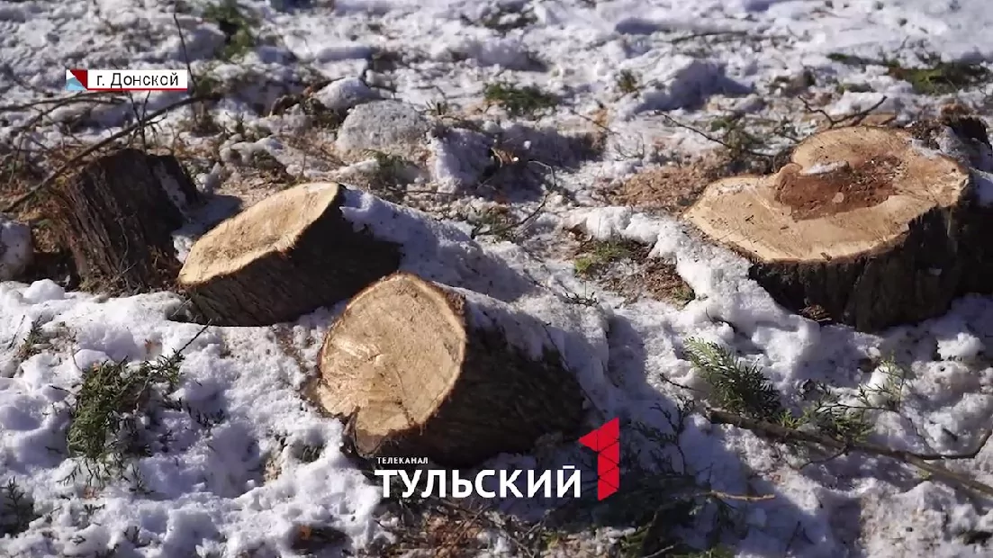 Туи на мемориале пошли под спил ради кустарника: прокуратура вмешалась в дело