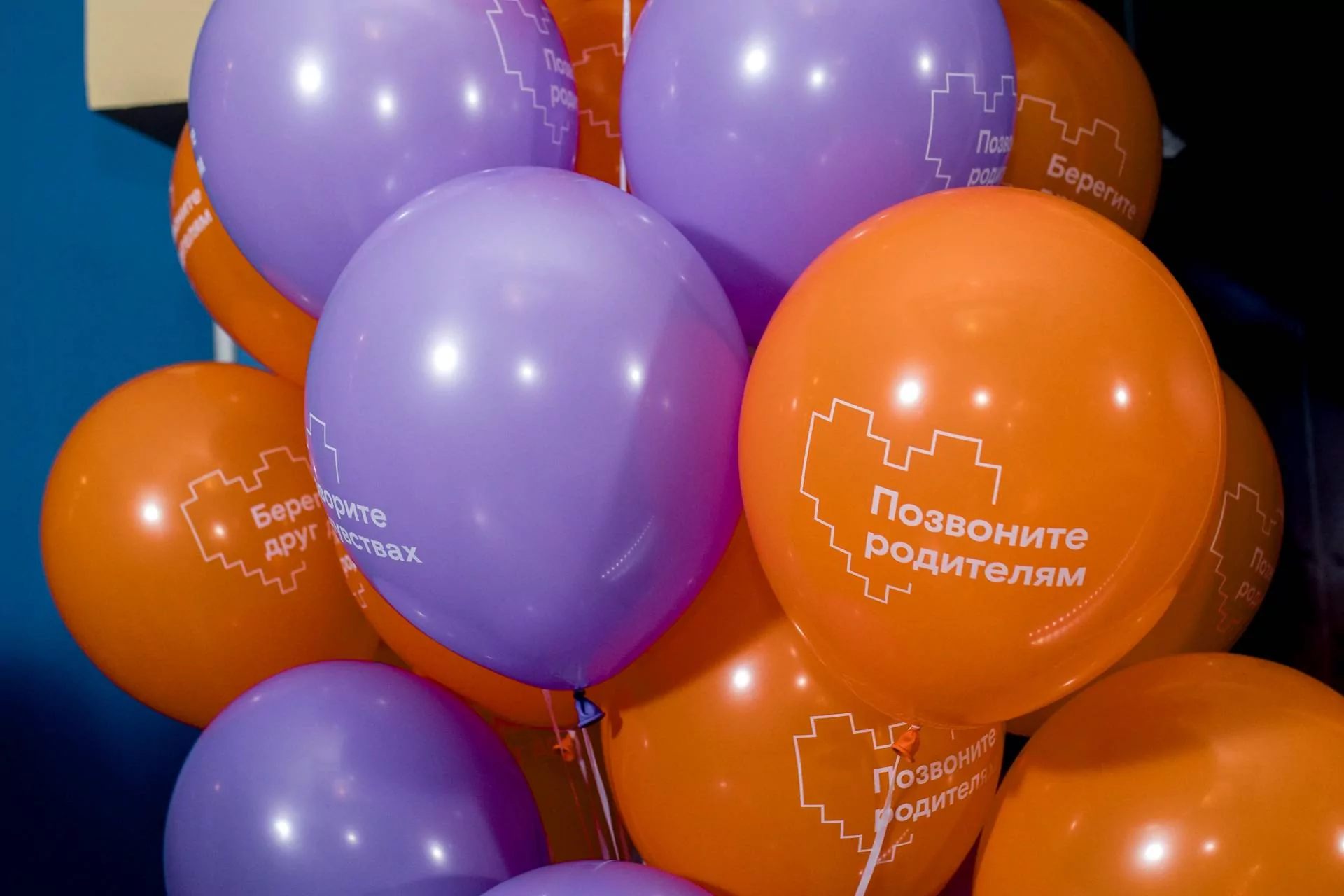 Снова о самом важном: новый сезон кинооткровений от "Ростелекома" уже на Wink