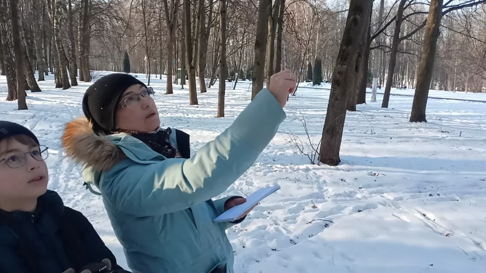 В Туле прошел третий учет городских белок