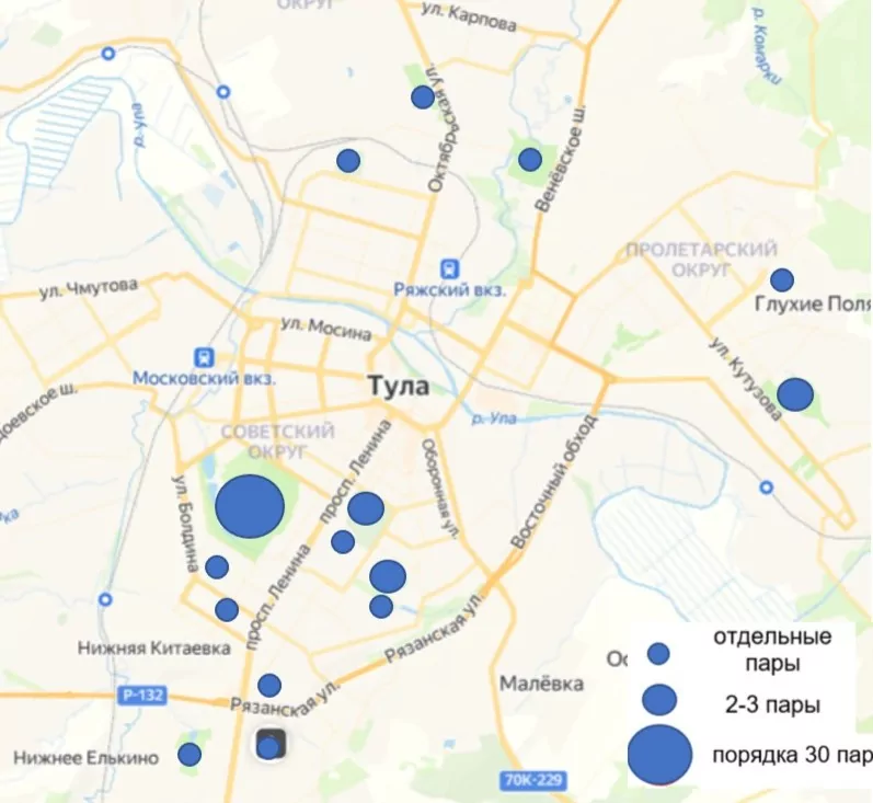 В Туле прошел третий учет городских белок