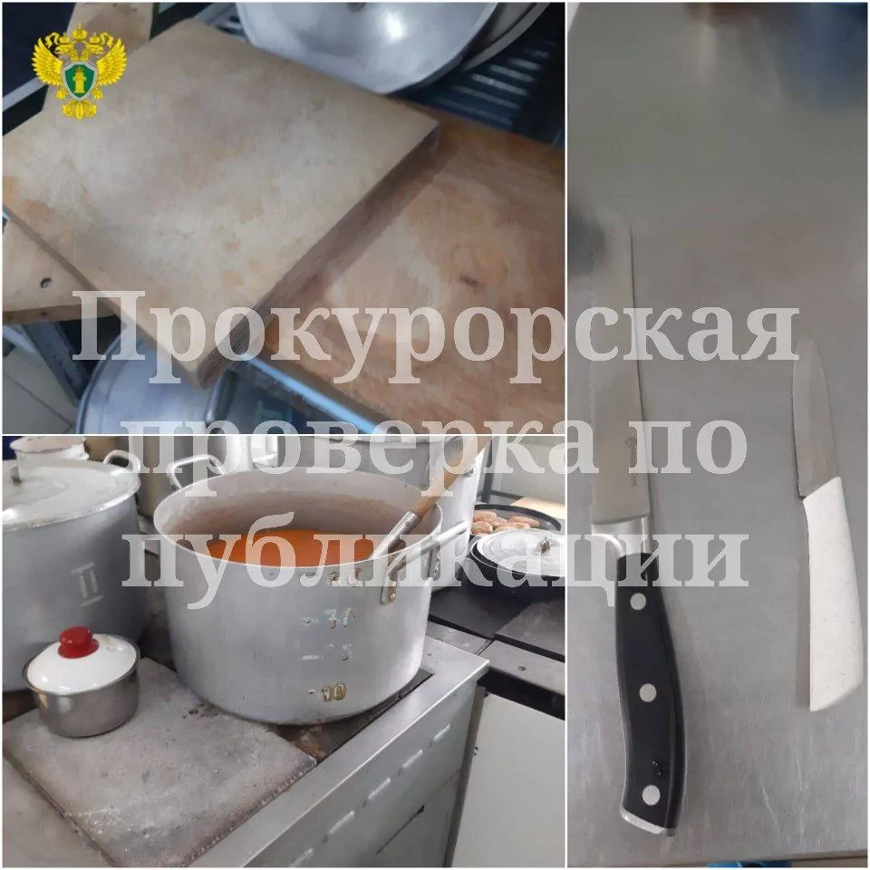 Детский сад в Узловой заполонили тараканы 