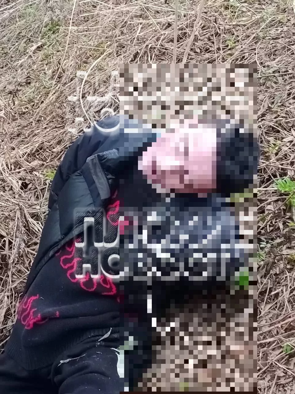 В лесопосадке под Щекином нашли труп молодого человека (18+)