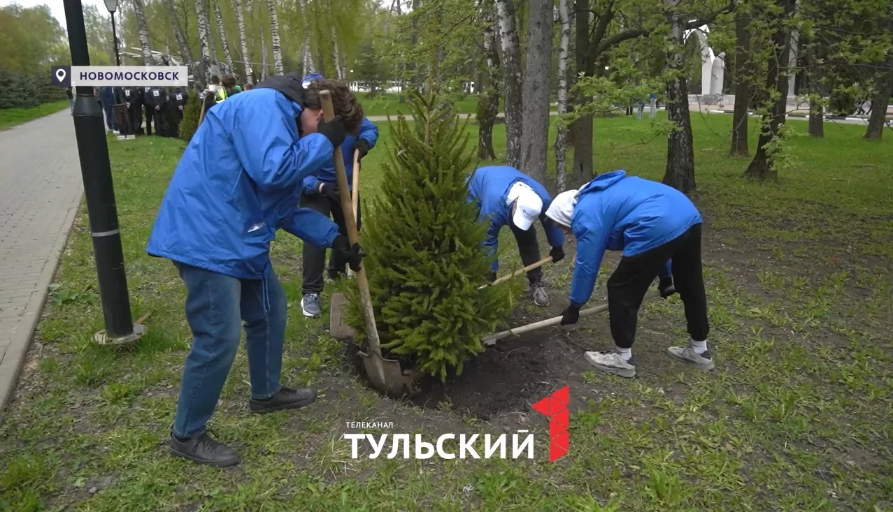 В парке Памяти и Славы Новомосковска в честь 80-летия Победы высадили ели