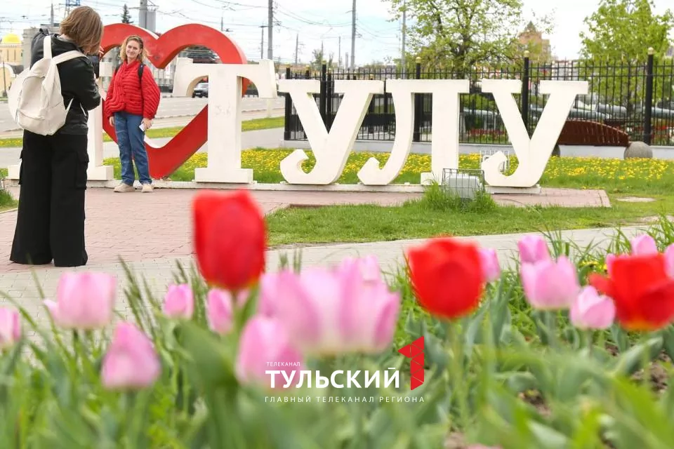Вечером в Туле похолодает до +3 градусов