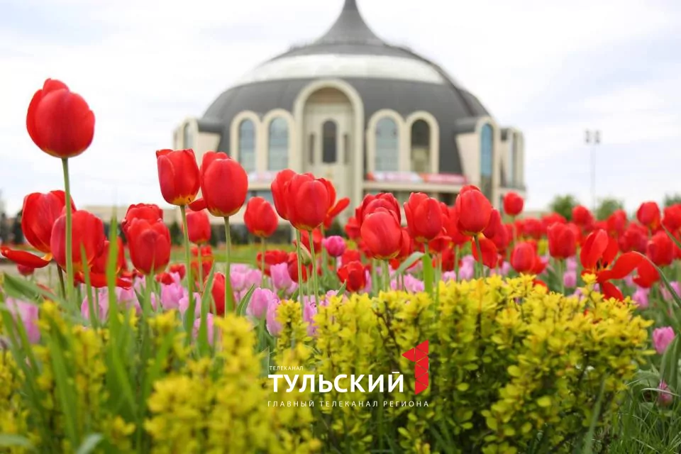 Вечером в Туле похолодает до +3 градусов
