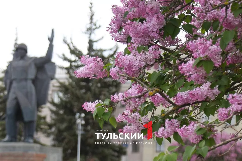 Вечером в Туле похолодает до +3 градусов