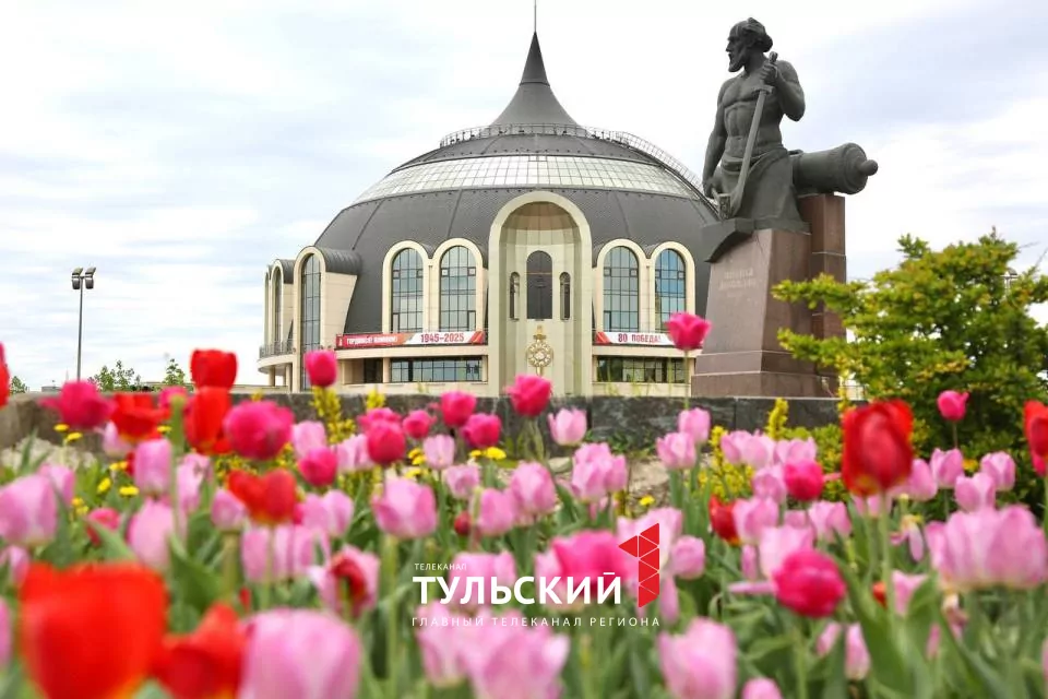 Вечером в Туле похолодает до +3 градусов