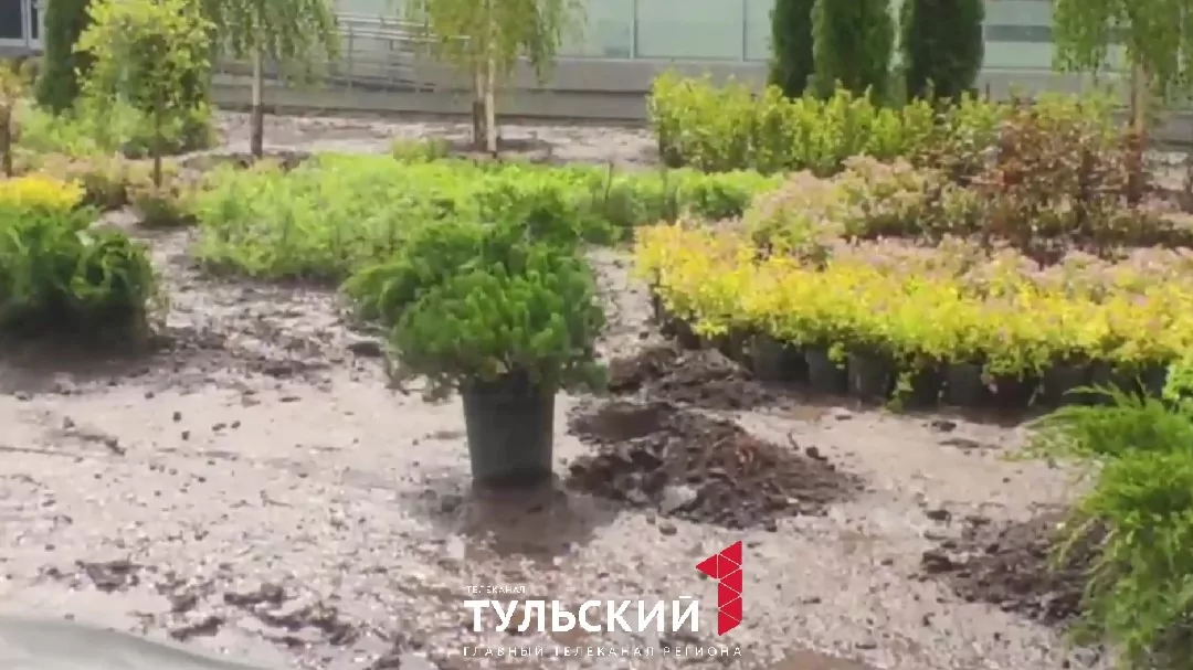 Самый оживленный перекресток Тулы украсят 850 зеленых насаждений