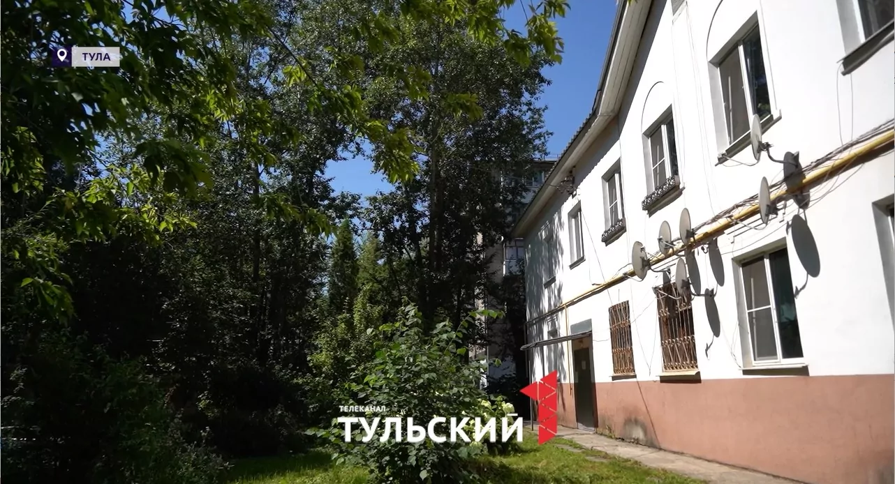 Как тулякам по закону убрать старые деревья во дворе