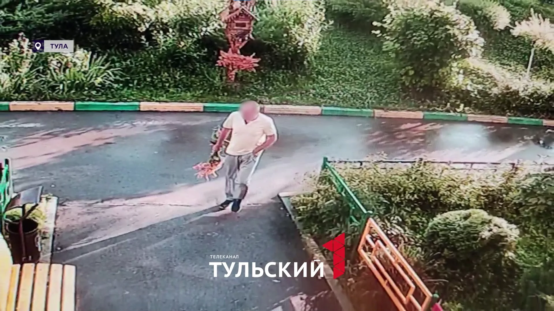 Туляк обчистил клумбу в Заречье и попал на видео