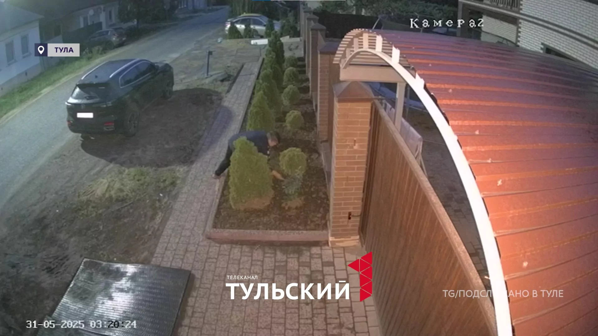 Туляк обчистил клумбу в Заречье и попал на видео