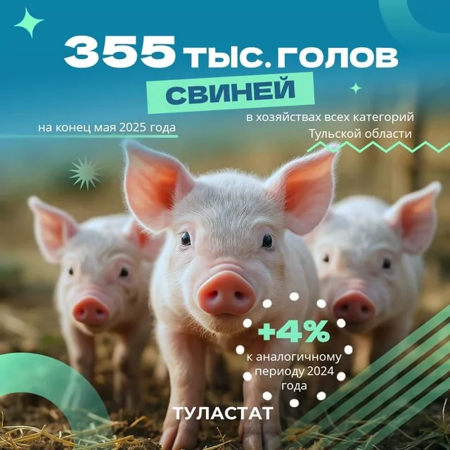 Сколько свиней содержится в хозяйствах Тульской области