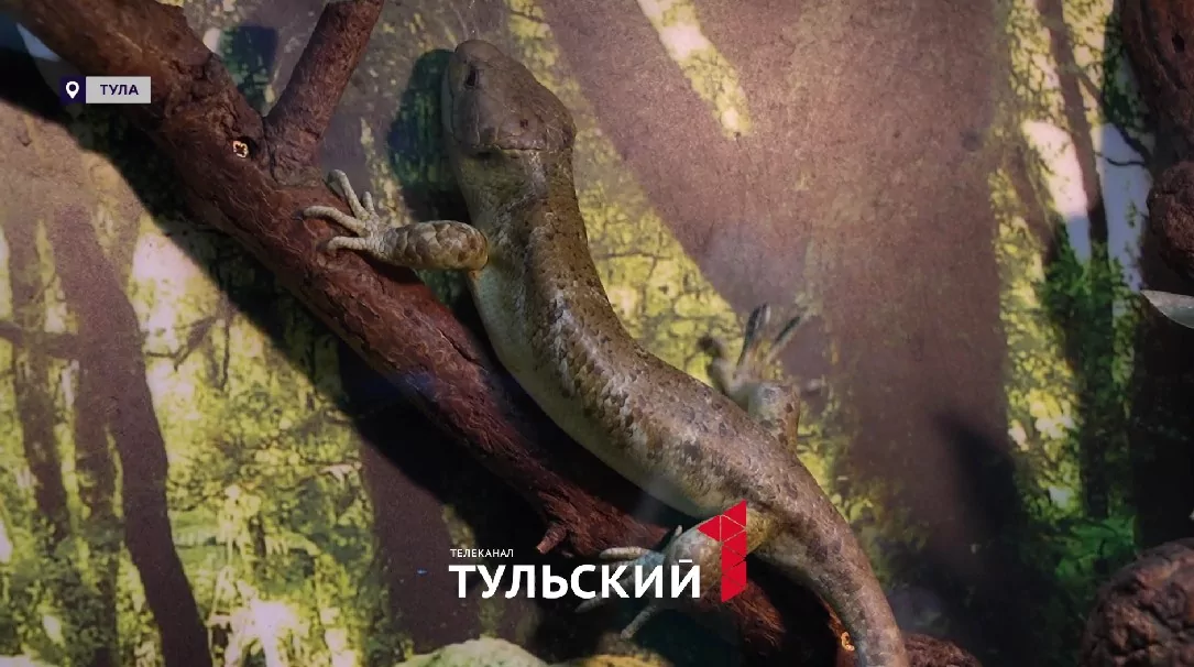 От змей в шкафу до Министра: как создавалась уникальная коллекция тульского экзотариума
