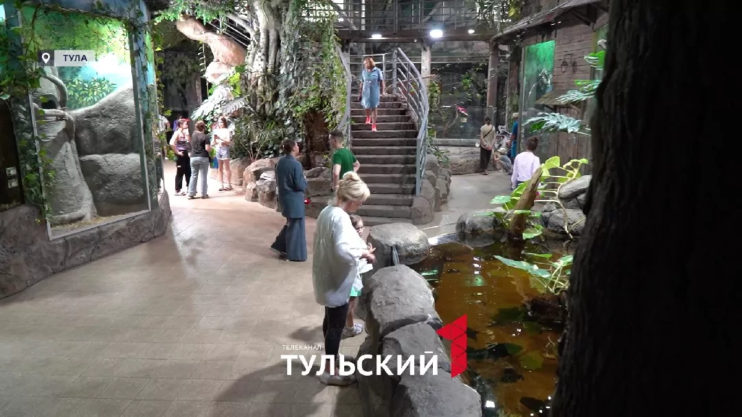 От змей в шкафу до Министра: как создавалась уникальная коллекция тульского экзотариума