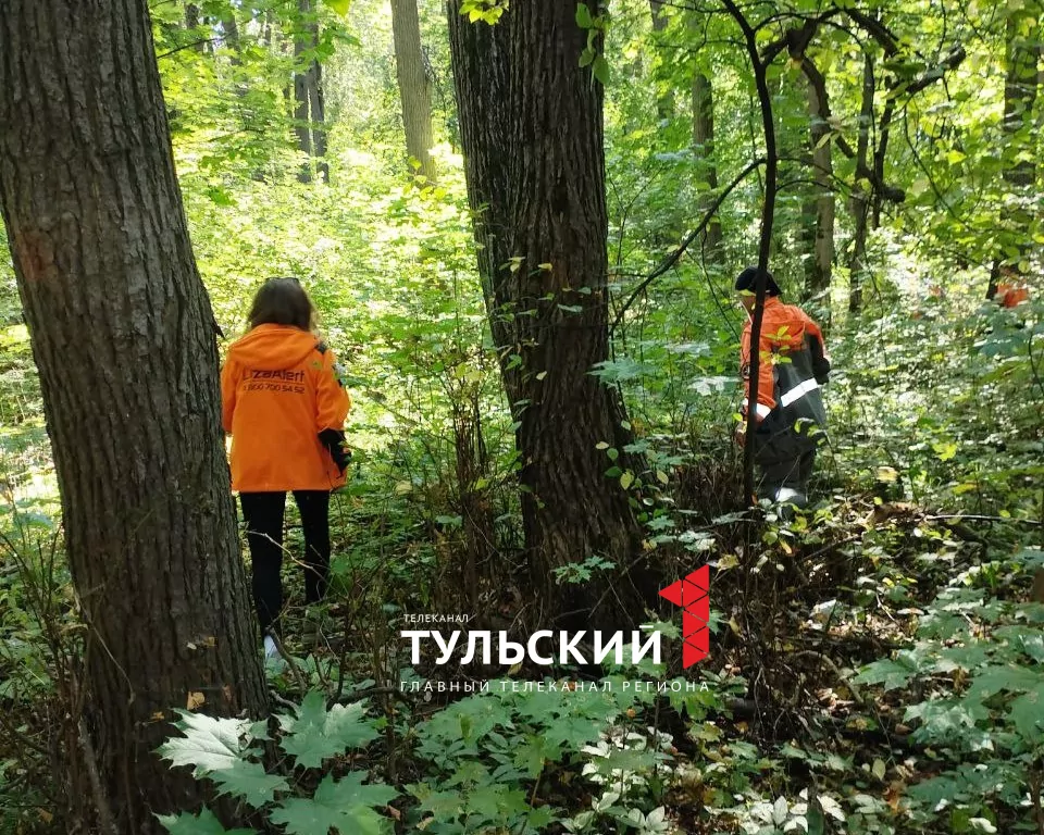Поисковики рассказали тулякам что делать, если потерялся в лесу