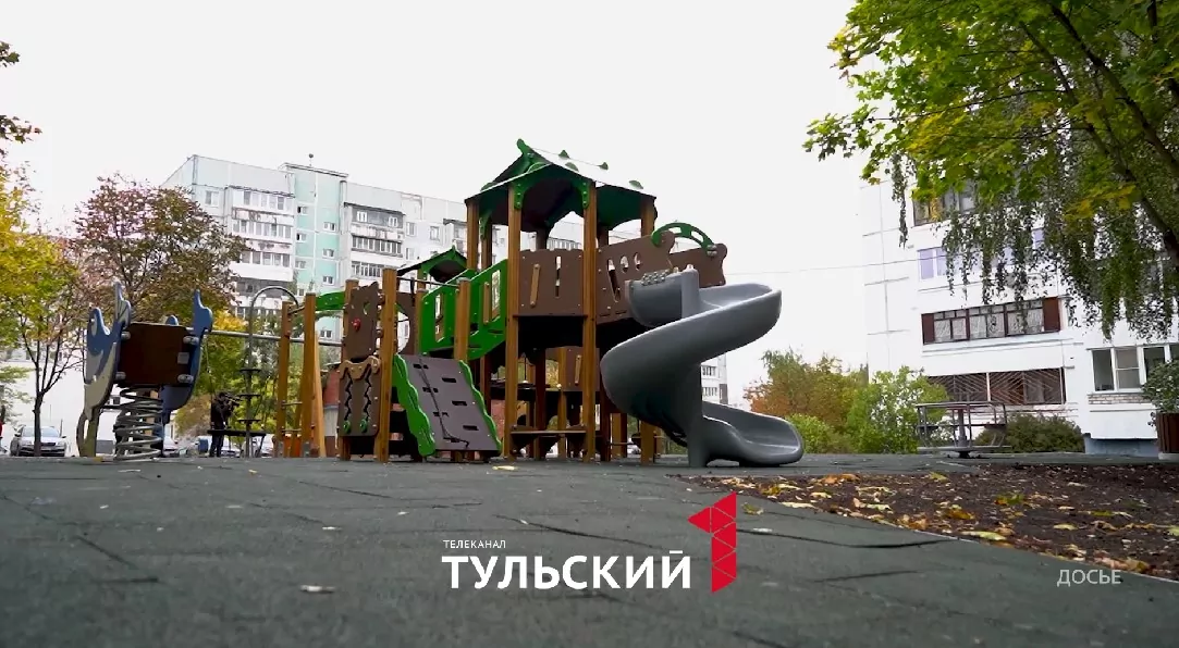 Какие идеи туляки могут реализовать с помощью проекта «Народный бюджет»