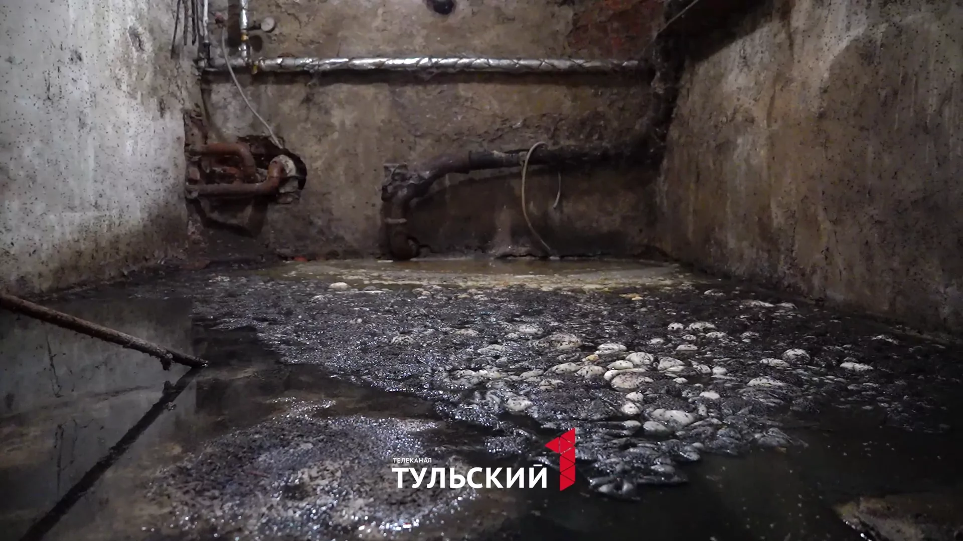 Подвал дома на Одоевском шоссе в Туле превратился в болото из-за засоренных труб