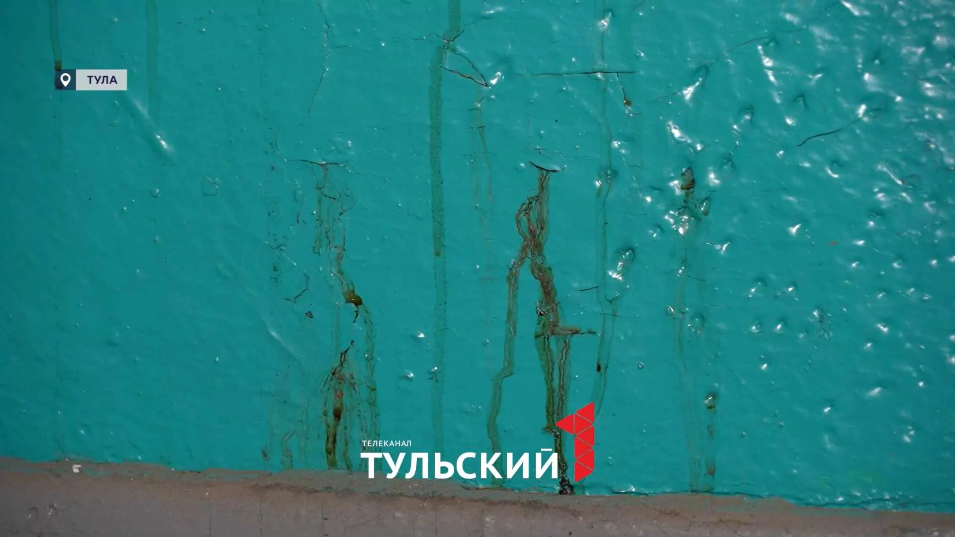 Многоэтажка в Туле покрывается плесенью