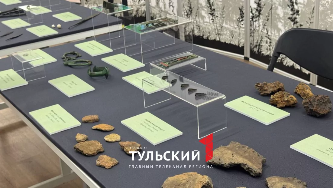 Тульские археологи рассказали про главные находки этого года