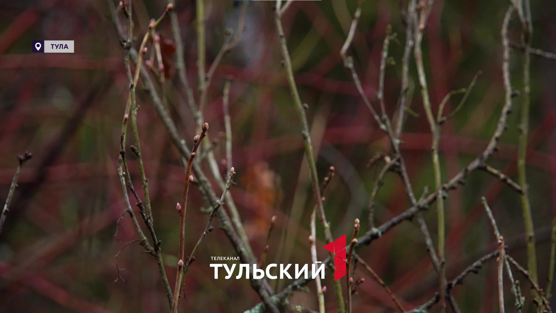 Погода бунтует: чем грозит рекордный плюс