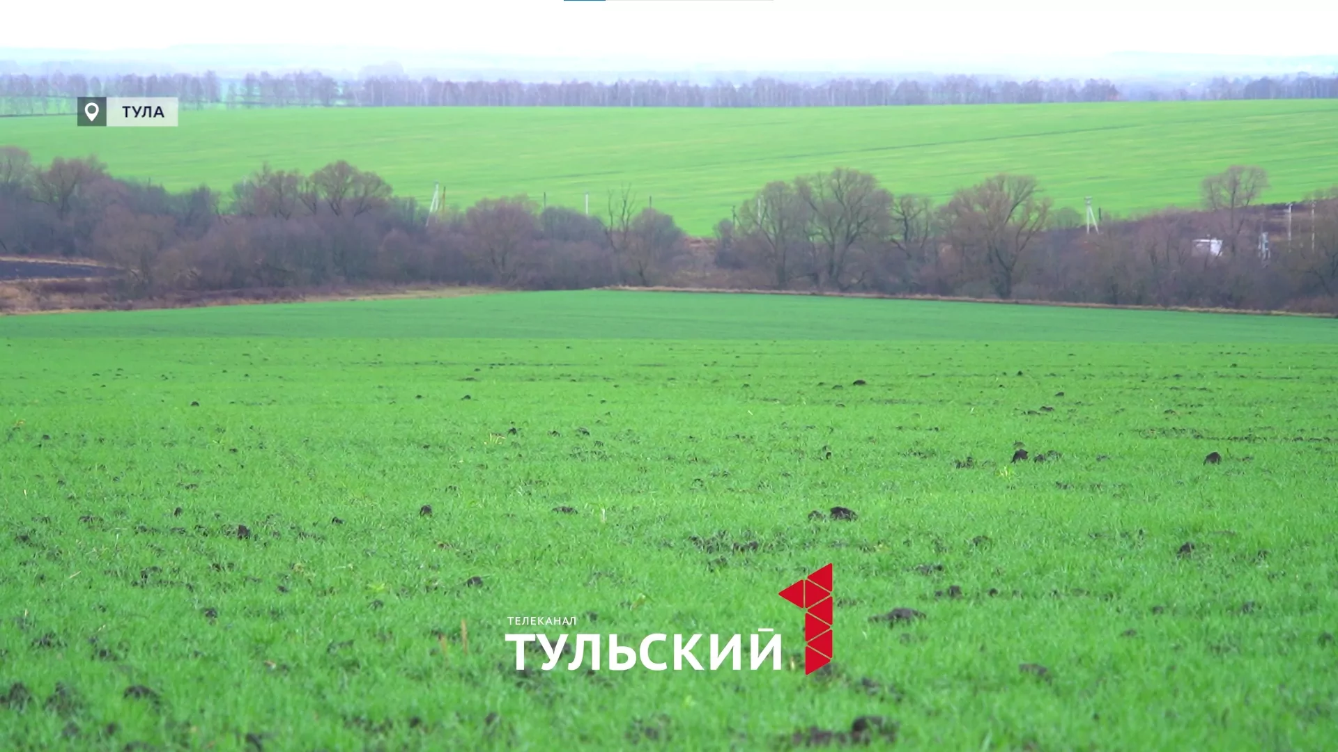 Погода бунтует: чем грозит рекордный плюс