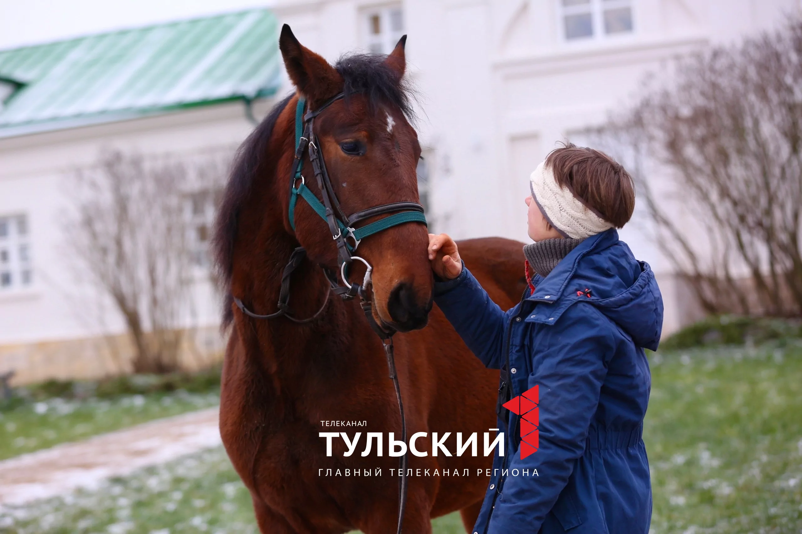 Сотрудники музея-усадьбы «Ясная Поляна» рассказали, как сейчас живёт Кентавр