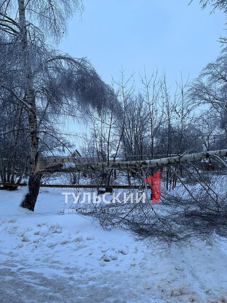 В Донском из-за обрыва сетей дома остались без электричества
