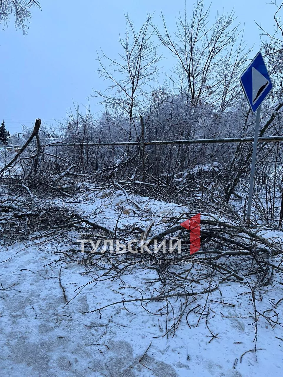 В Донском из-за обрыва сетей дома остались без электричества