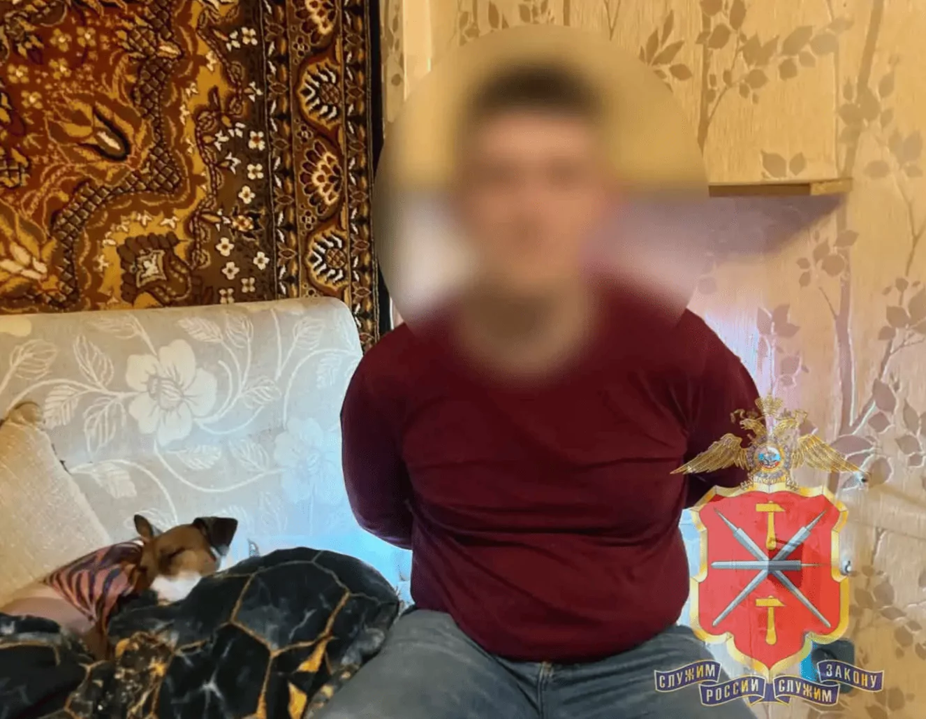 В Новомосковске раскрыли серию краж ювелирных украшений из ПВЗ