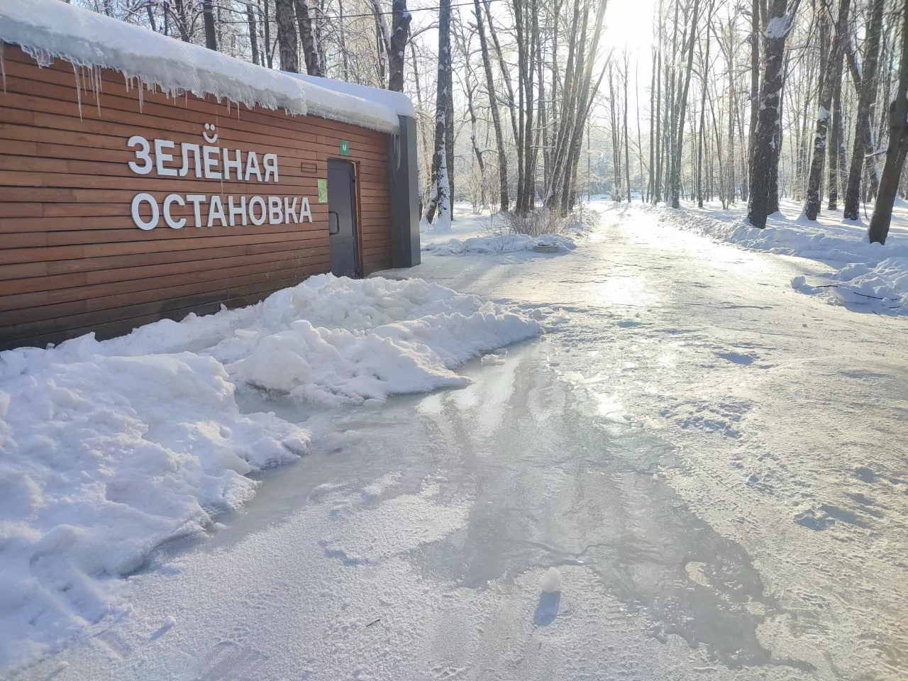 В Центральном парке Тулы прорвало канализацию