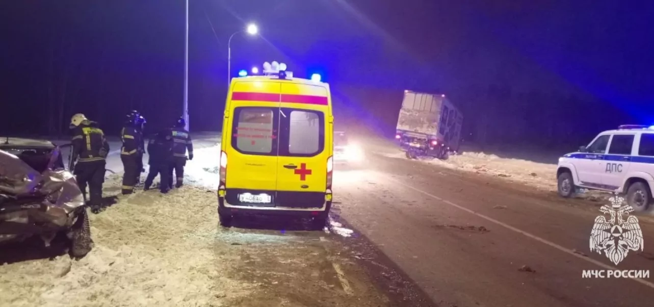 За сутки в Тульской области потушили два пожара