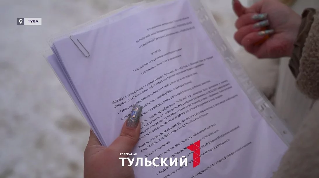 Тулячка купила в зоомагазине шиншиллу с сюрпризом