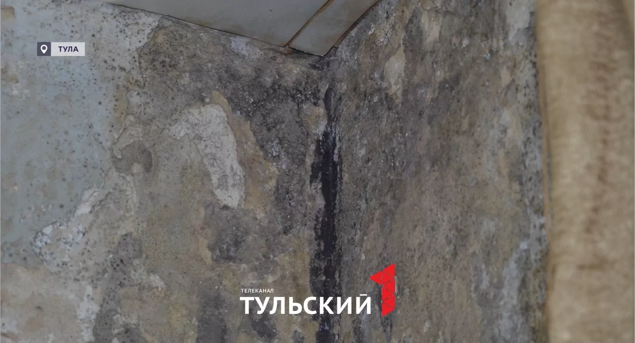Черная плесень разрослась в пятиэтажке в Туле из-за прорыва трубы в подвале