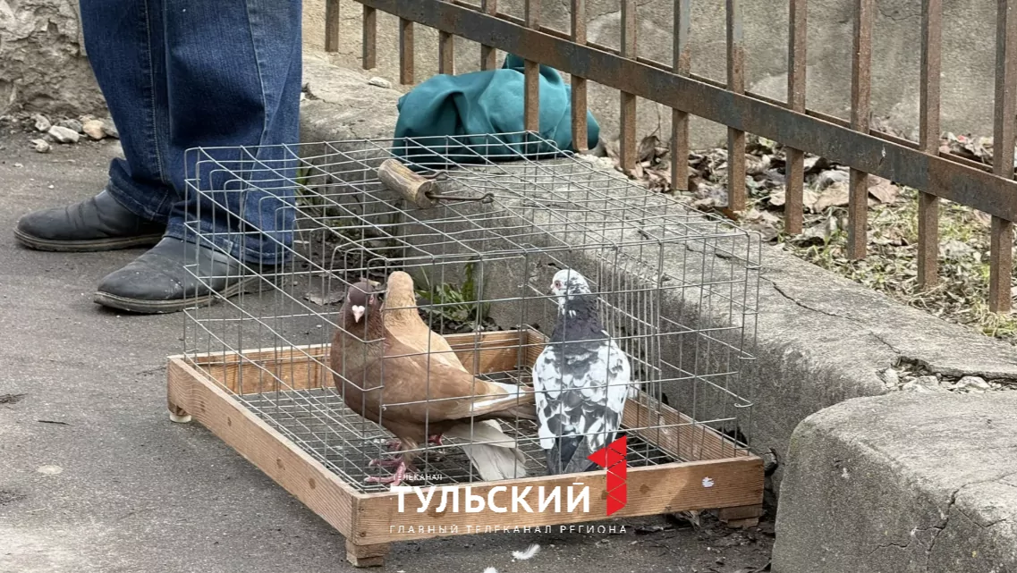 В Туле рассказали о традиции отпускать птиц на Благовещение